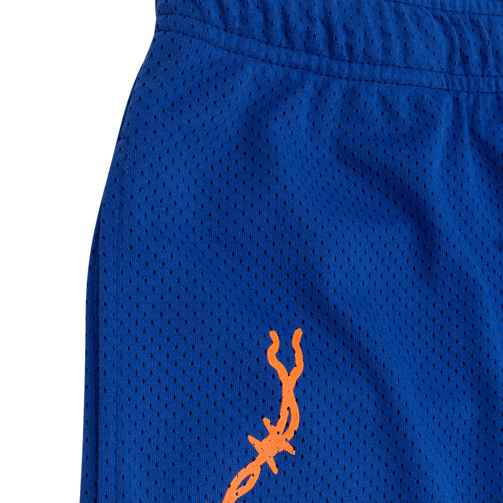 BAT REAPER MESH PURPLE SHORTS