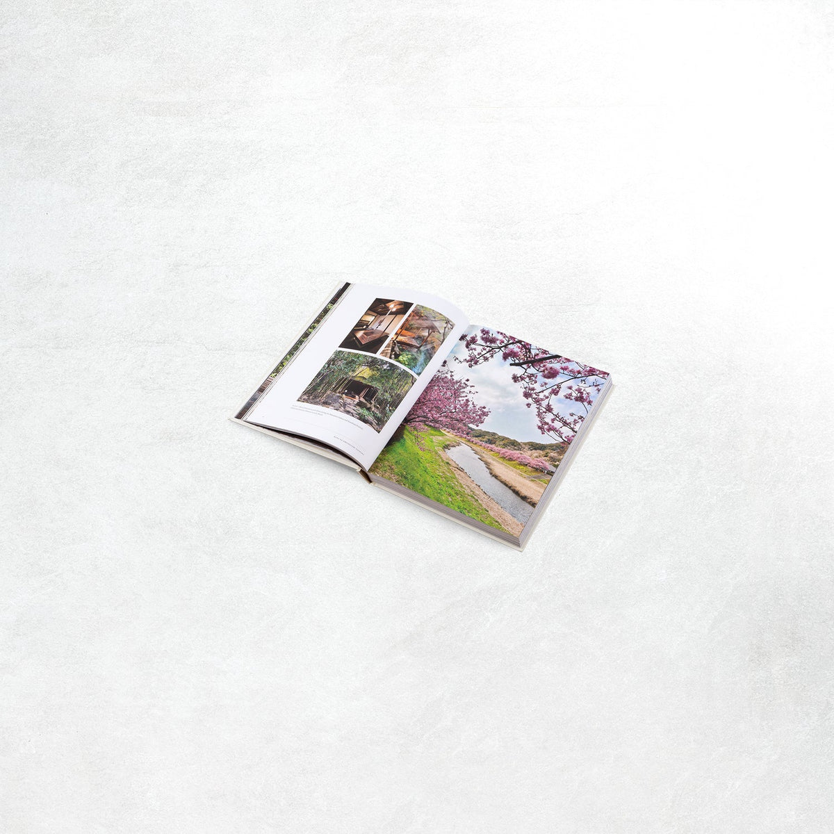 Gestalten: Onsen and Ryokan of Japan